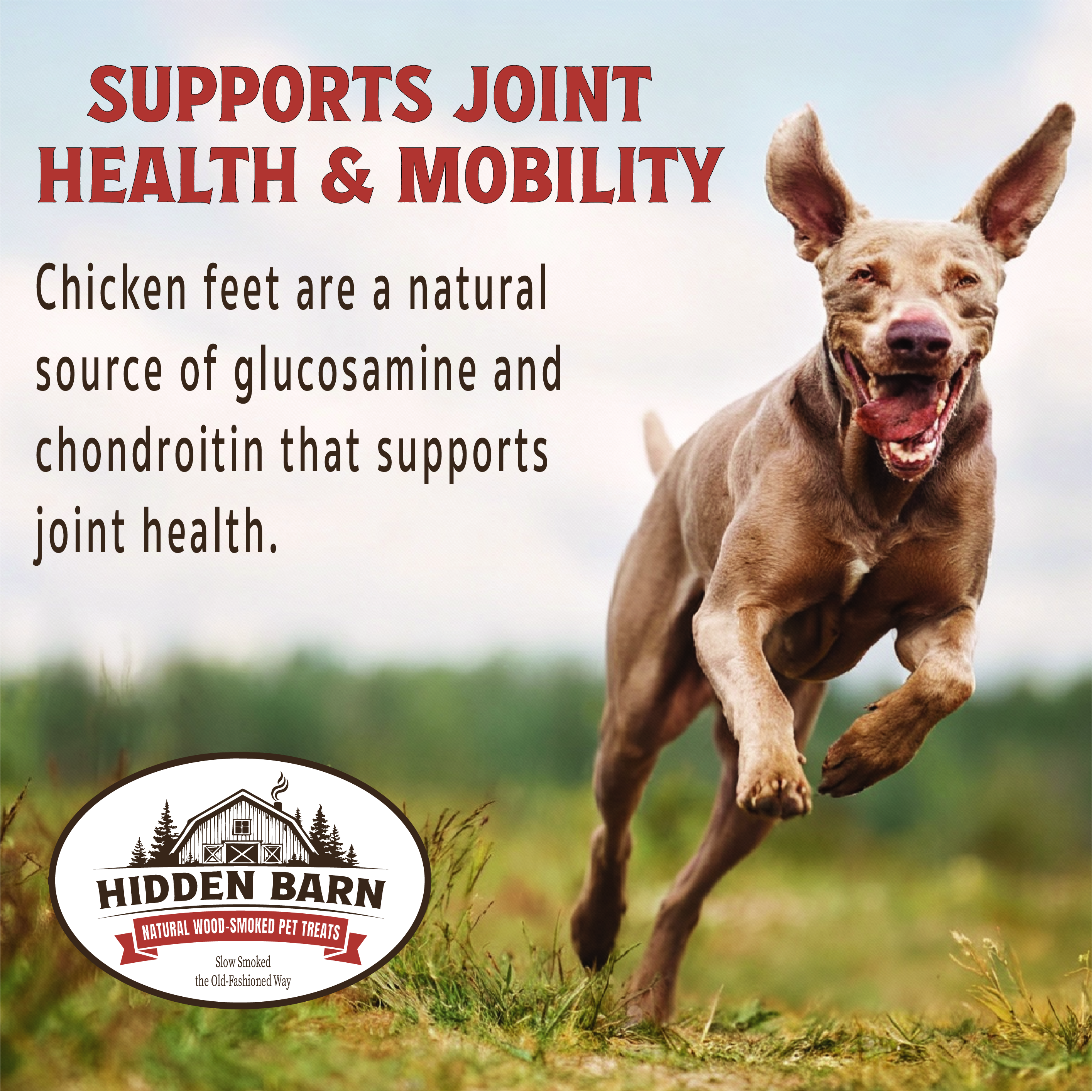 All-Natural Wood-Smoked & Slowly Dried Smoked Chicken Feet