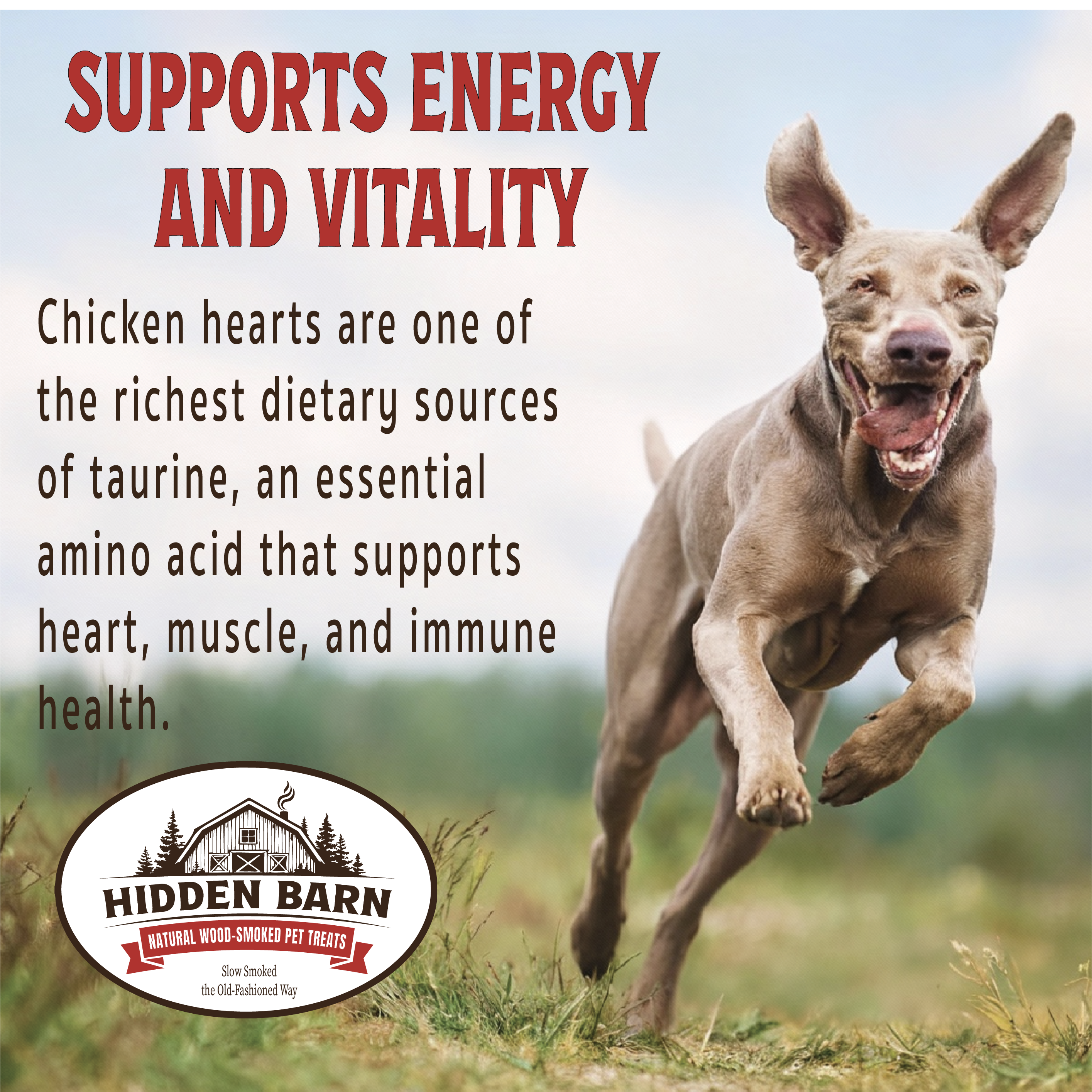 All-Natural Wood-Smoked & Slowly Dried Smoked Chicken Hearts