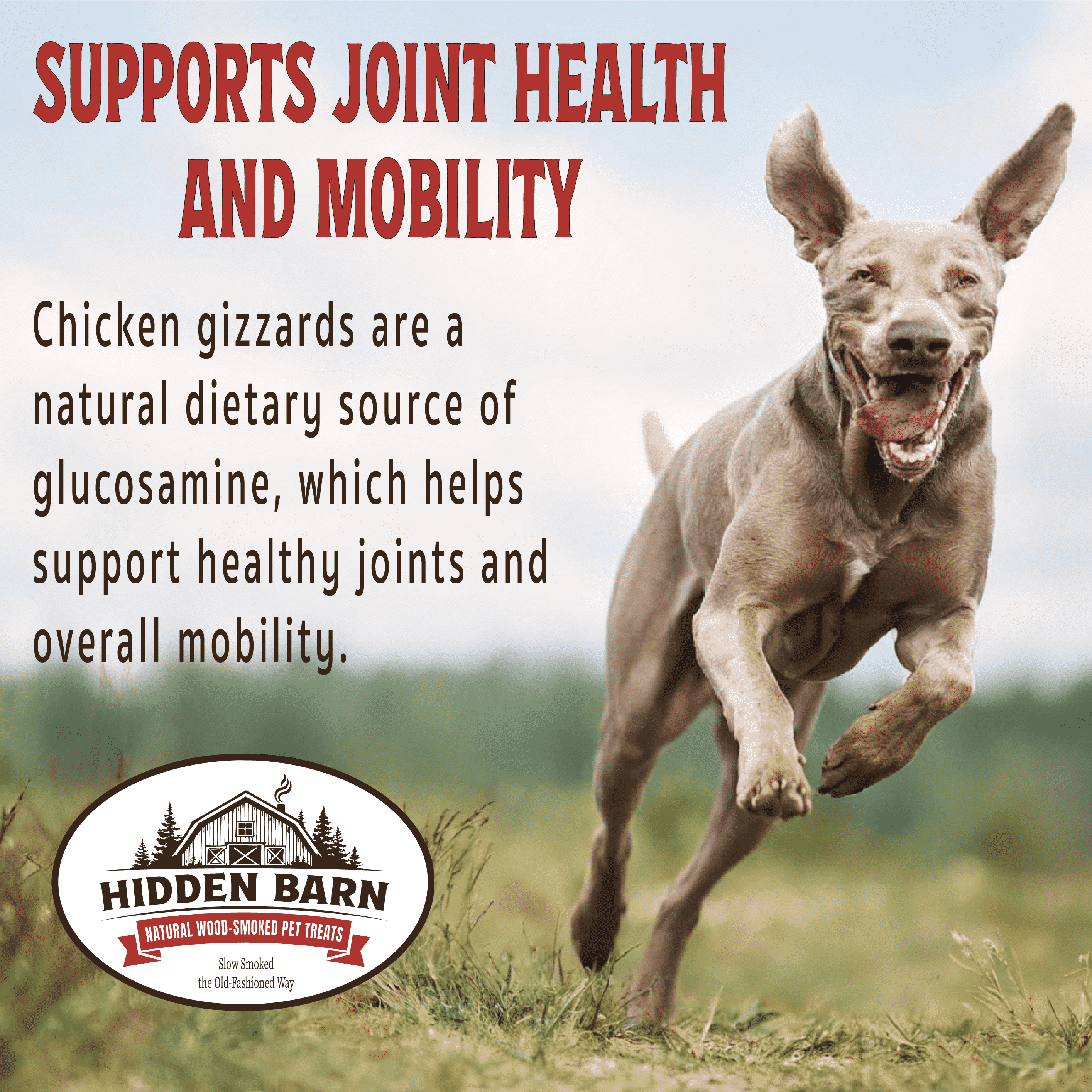 All-Natural Wood-Smoked & Slowly Dried Smoked Chicken Gizzards